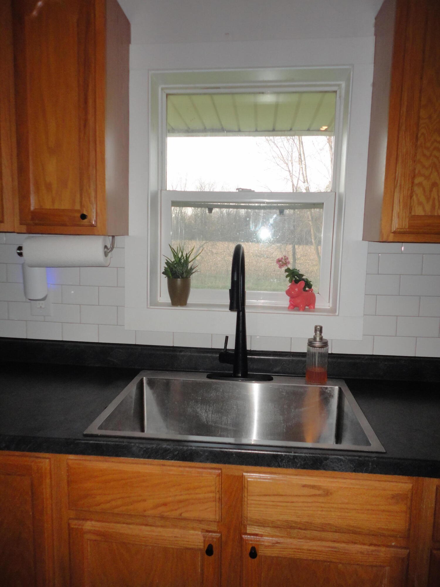 4219 W 110th Avenue Allegan MI 49010