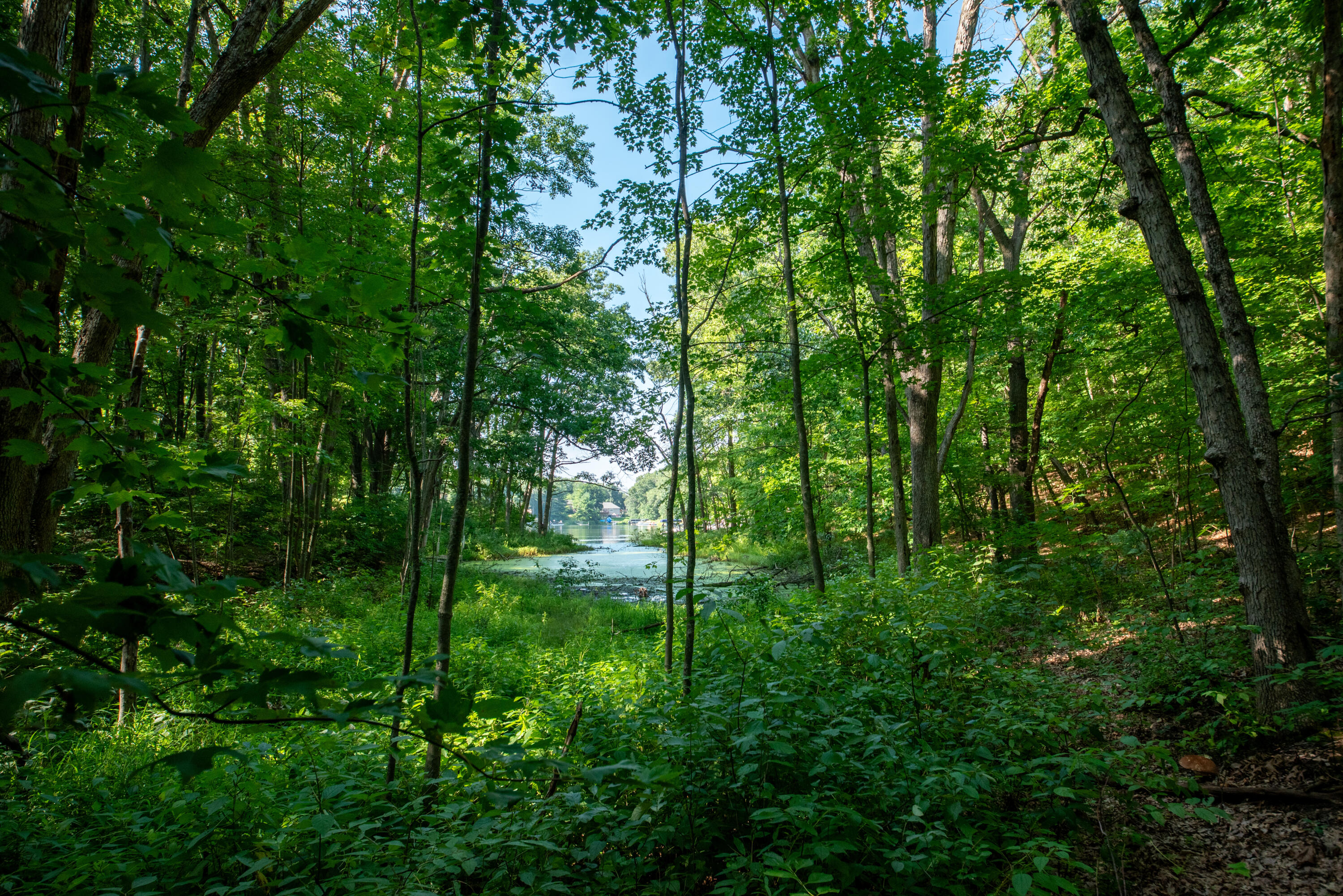 3788 Siebers Lane NE Grand Rapids MI 49525