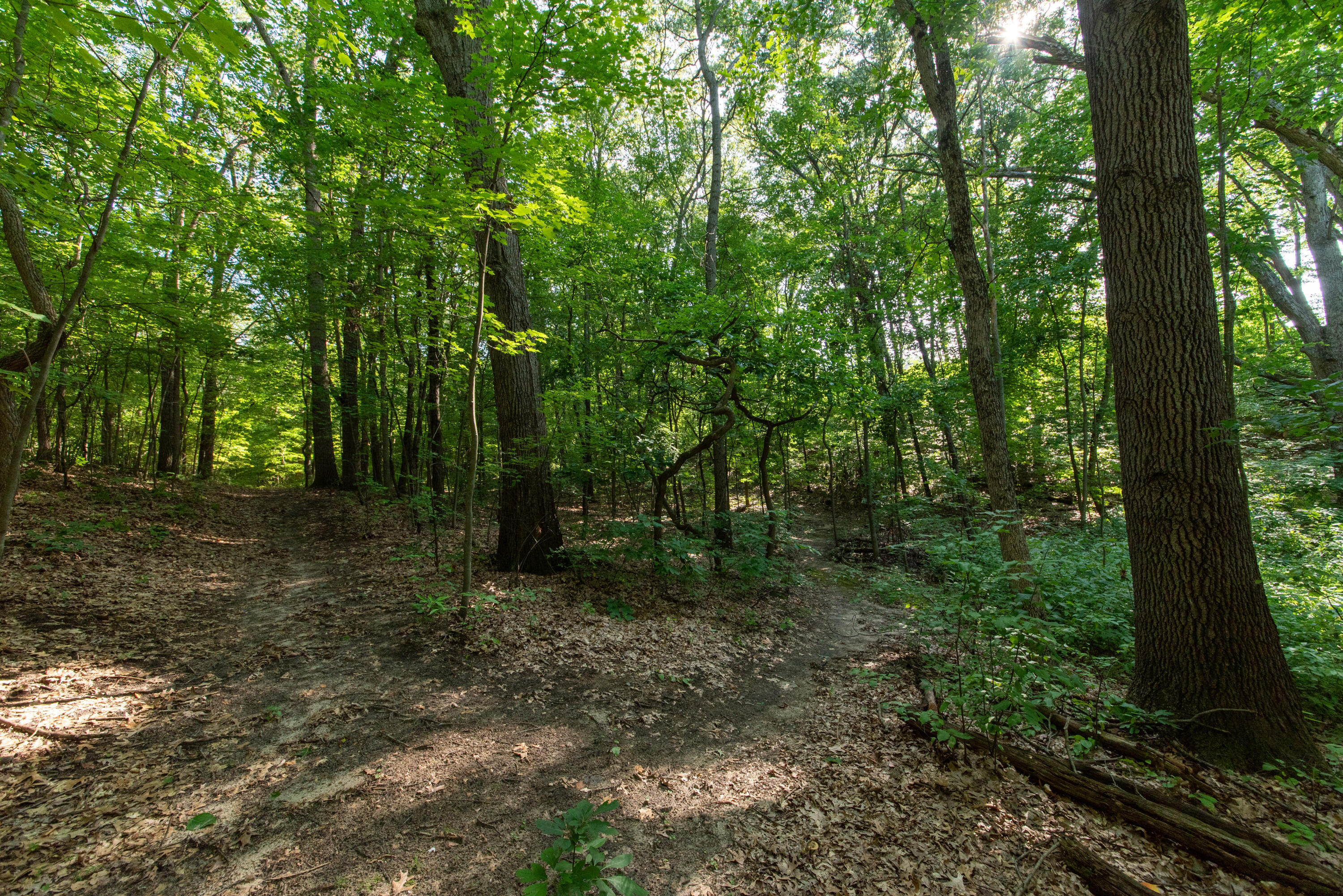 3788 Siebers Lane NE Grand Rapids MI 49525