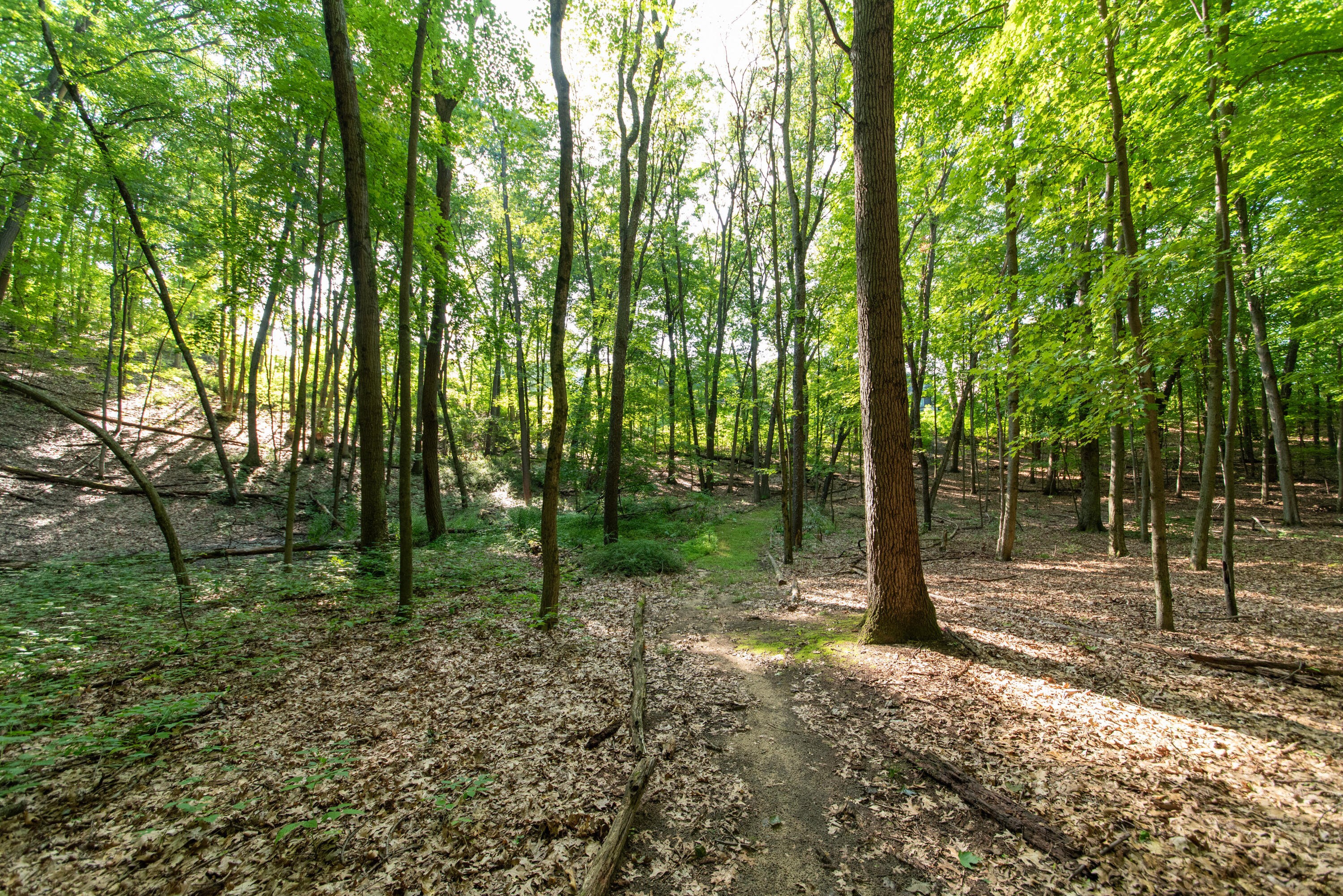 3788 Siebers Lane NE Grand Rapids MI 49525