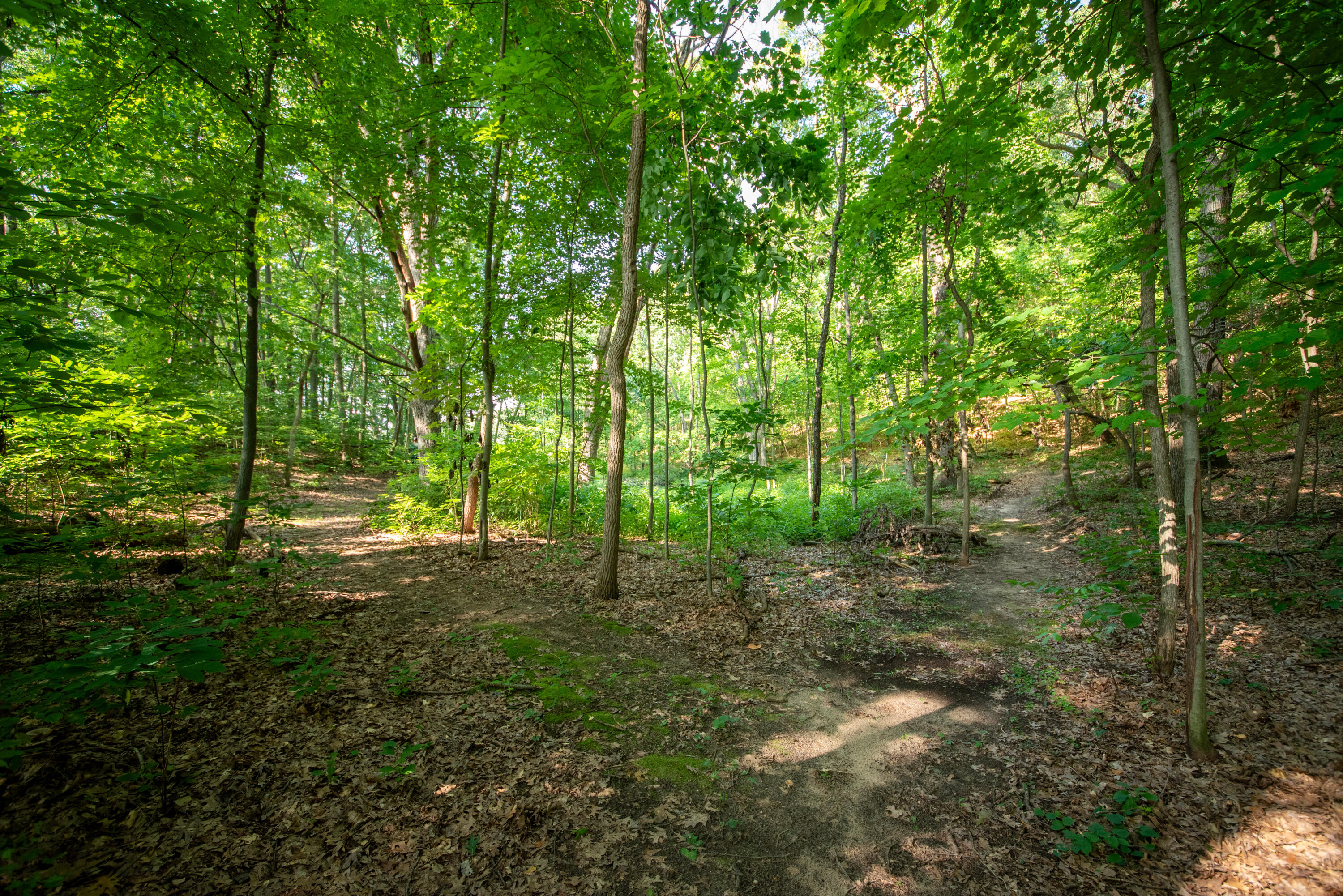 3788 Siebers Lane NE Grand Rapids MI 49525