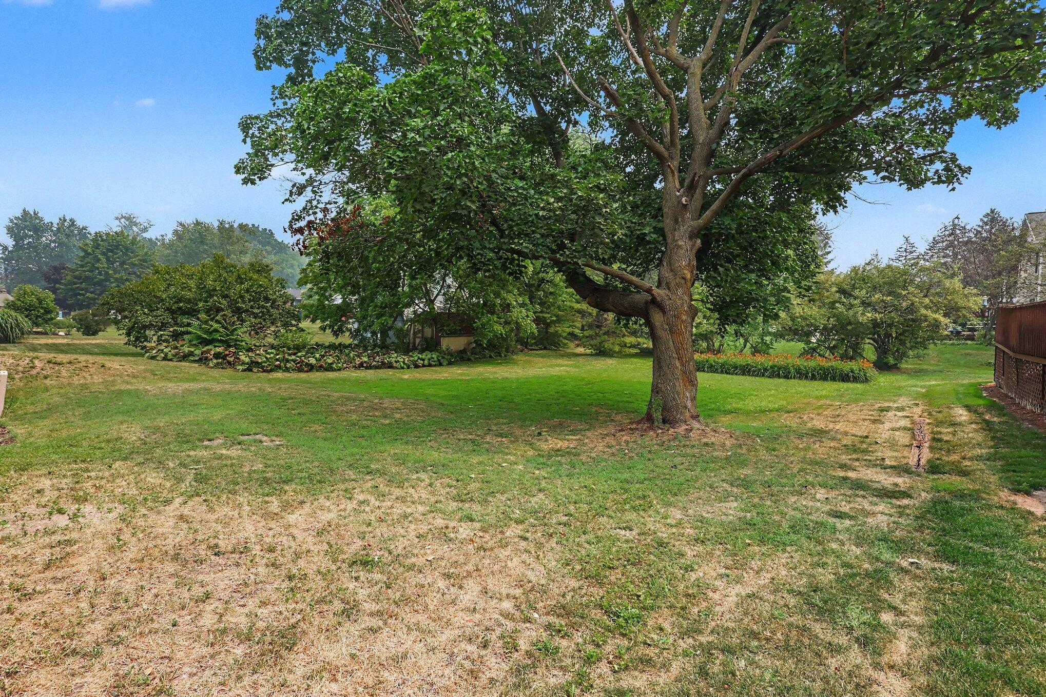 275 Taft Street Zeeland MI 49464