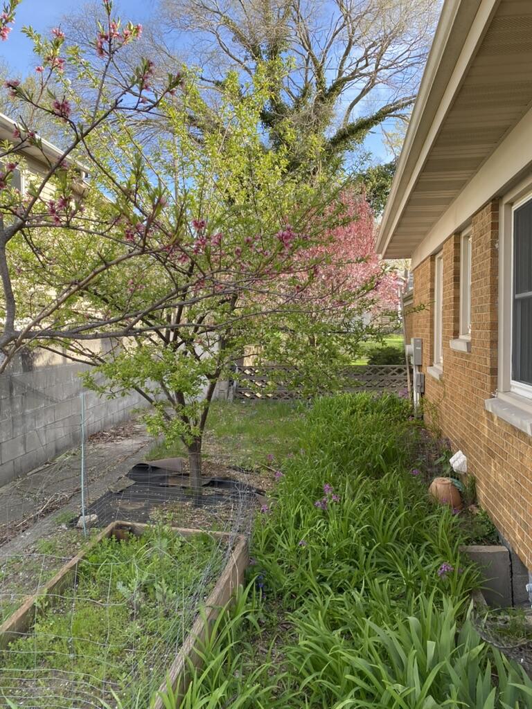 549 Colfax Avenue Grand Haven MI 49417