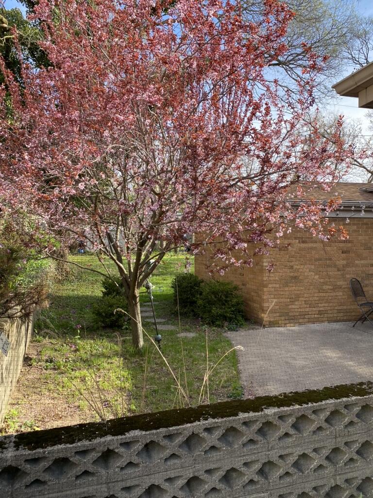 549 Colfax Avenue Grand Haven MI 49417
