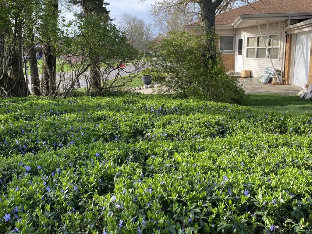 549 Colfax Avenue Grand Haven MI 49417
