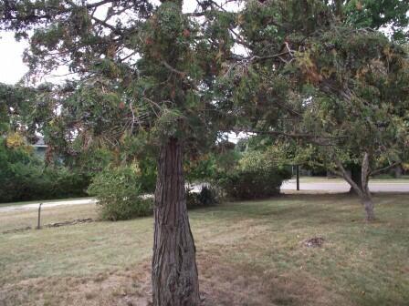 210 N Staffon Street Ludington MI 49431