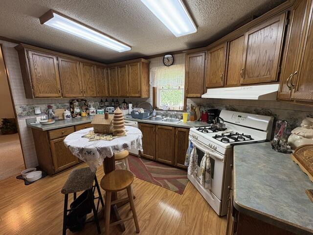 67702 S Ridgewood Drive South Haven MI 49090