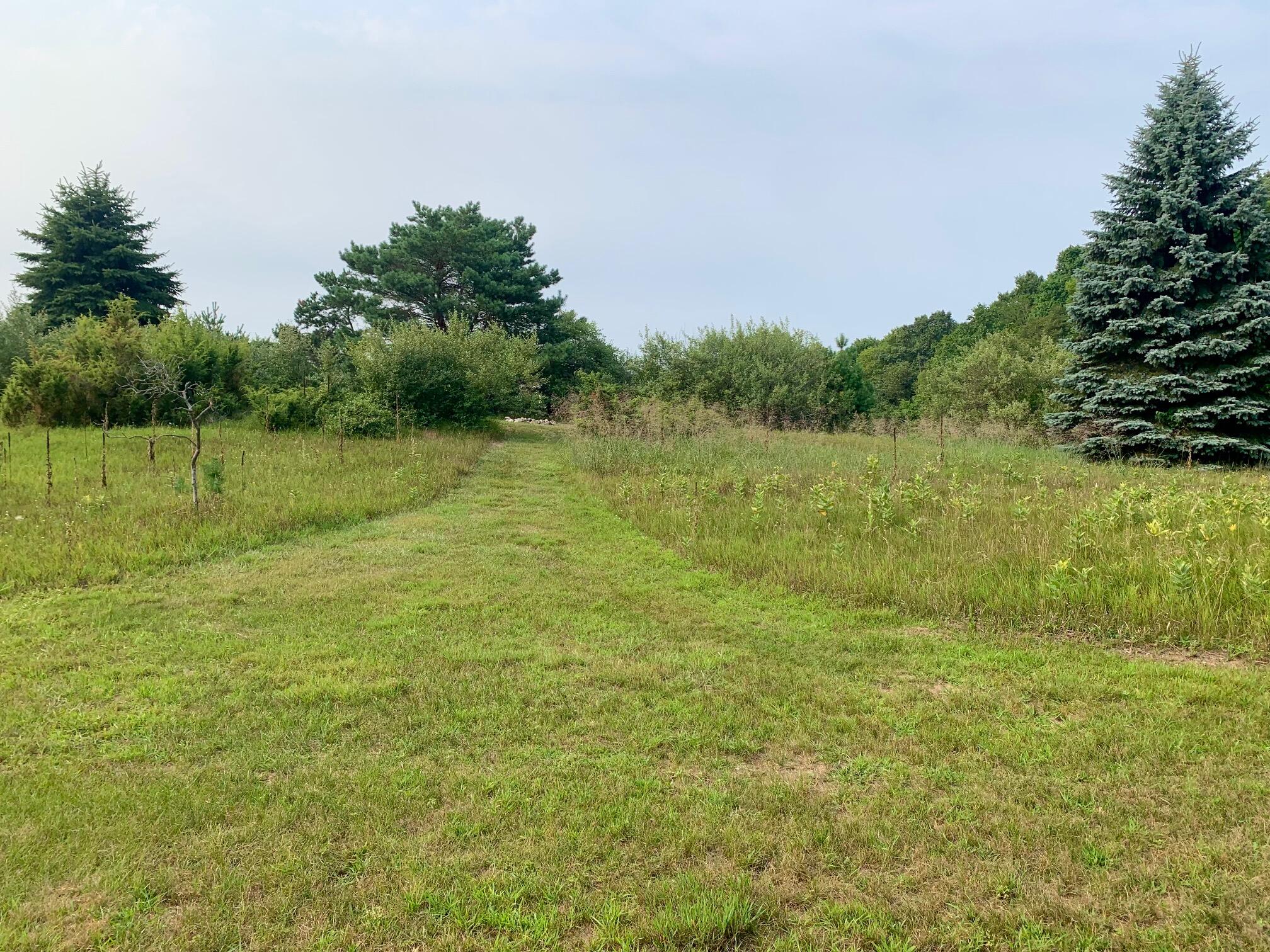1775 S Lakeshore Drive Ludington MI 49431