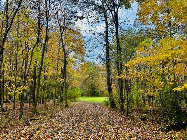 1084 38th Street Allegan MI 49010