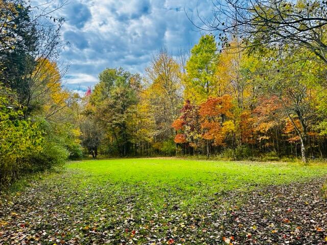 1084 38th Street Allegan MI 49010