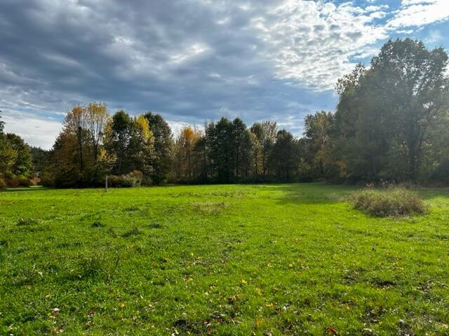 1084 38th Street Allegan MI 49010