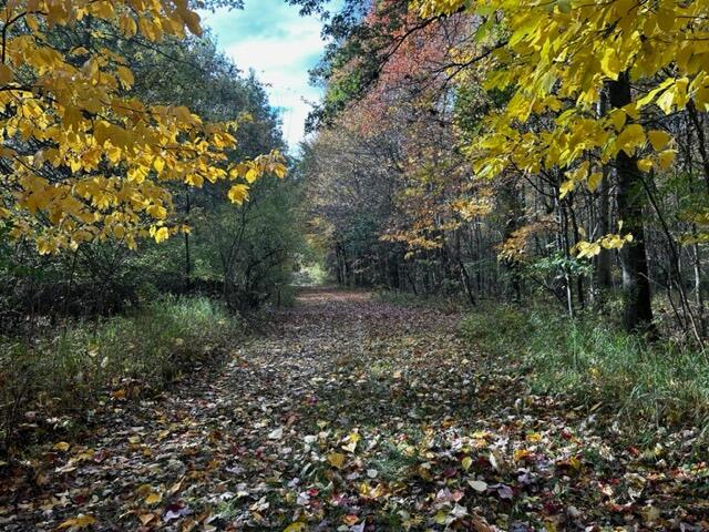 1084 38th Street Allegan MI 49010