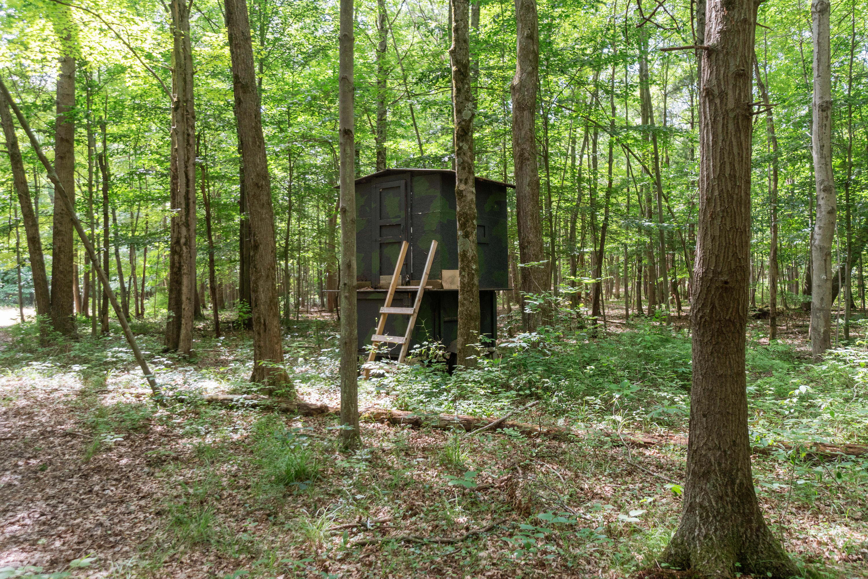 1084 38th Street Allegan MI 49010