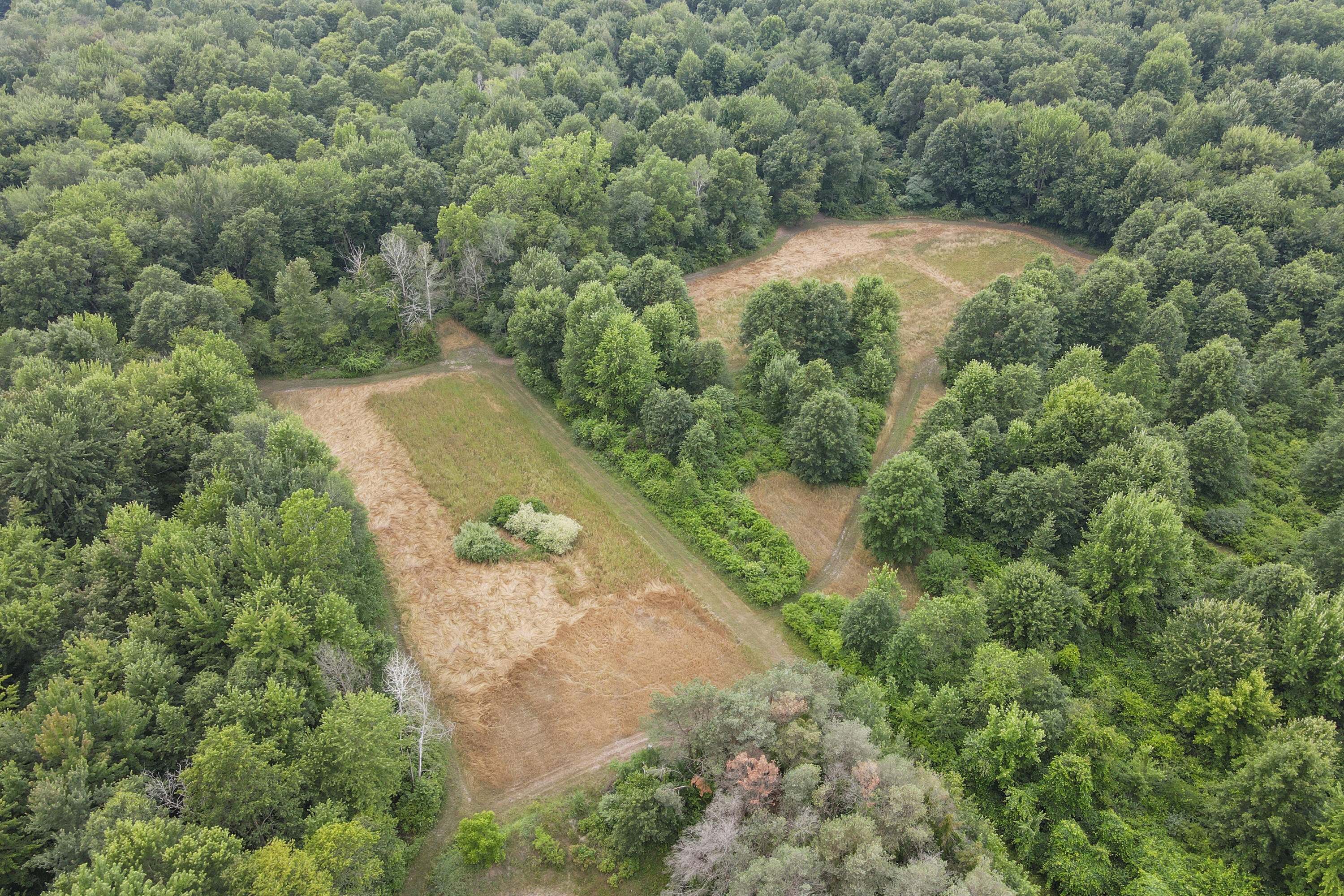 1084 38th Street Allegan MI 49010