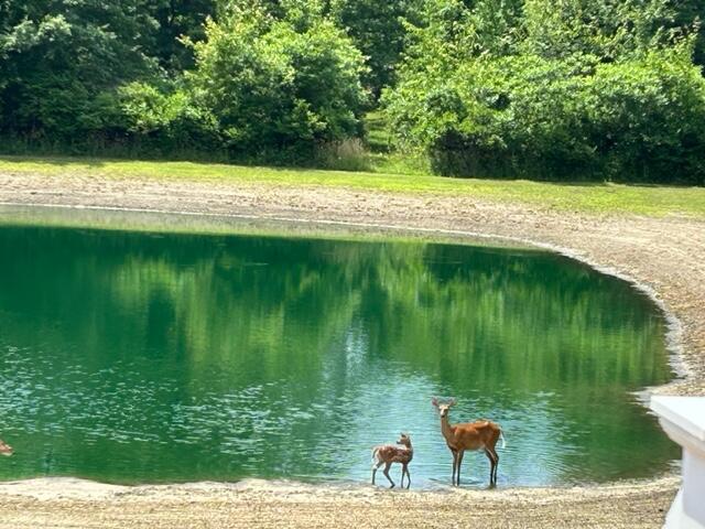 1084 38th Street Allegan MI 49010