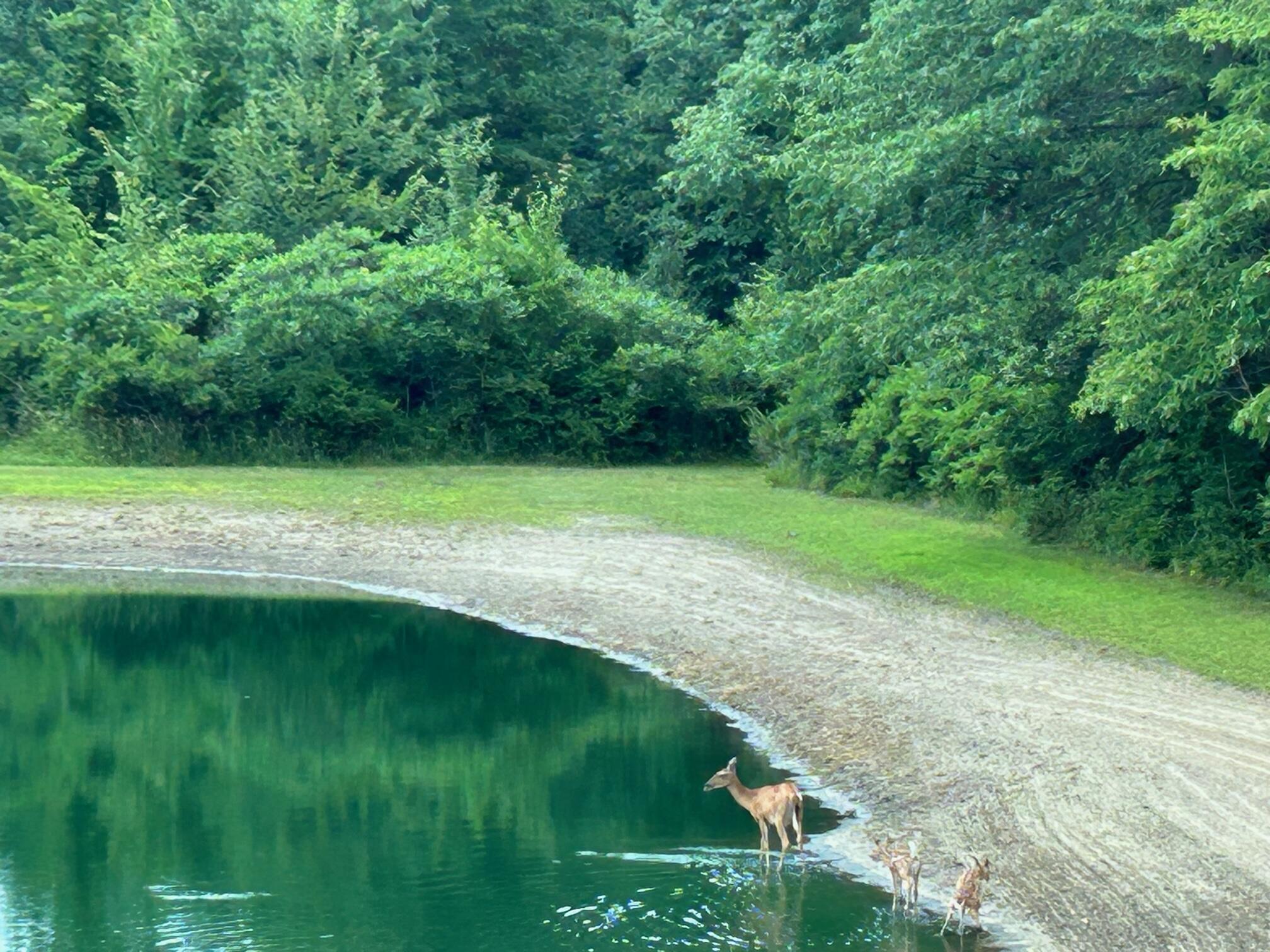 1084 38th Street Allegan MI 49010