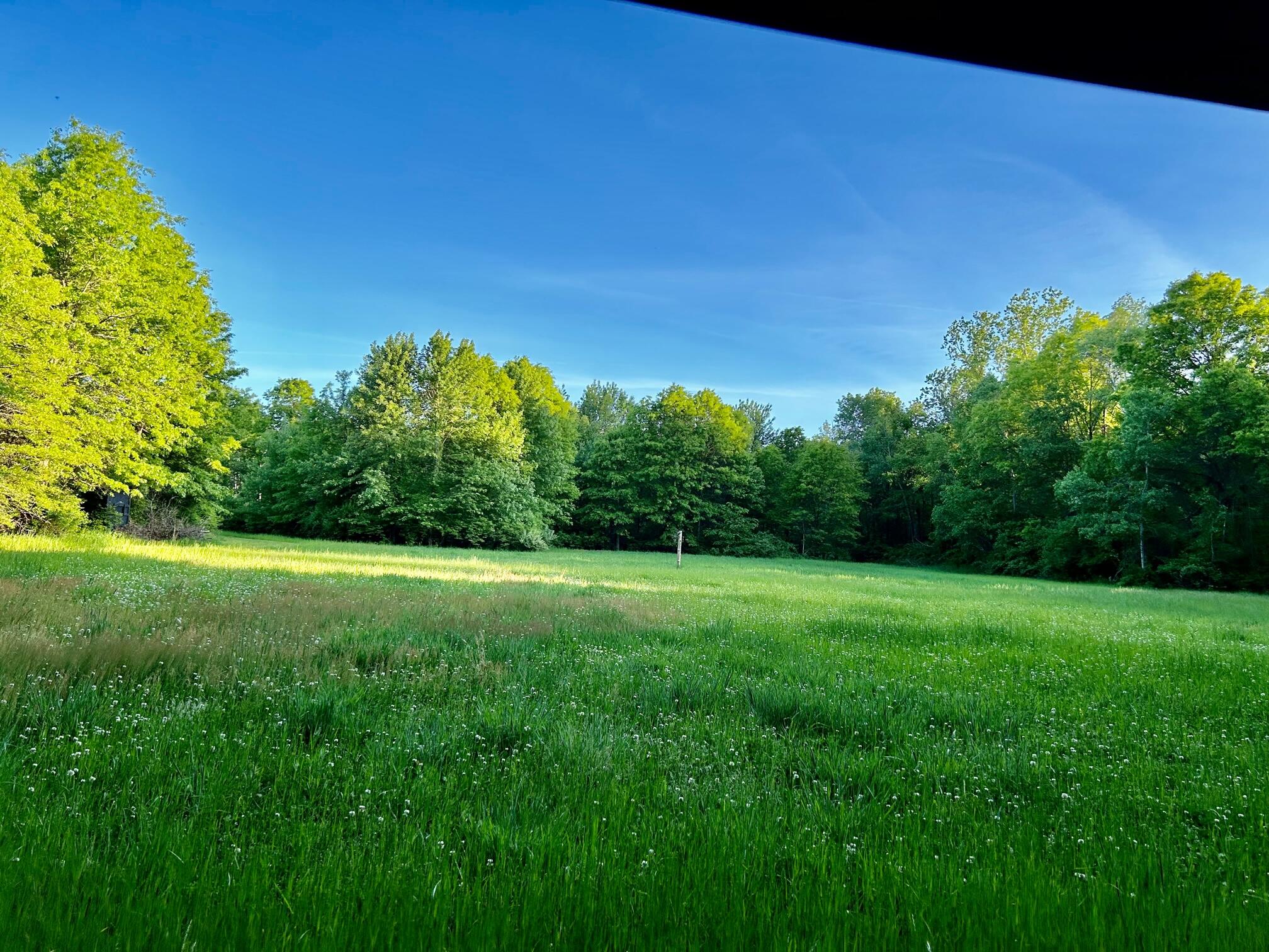 1084 38th Street Allegan MI 49010