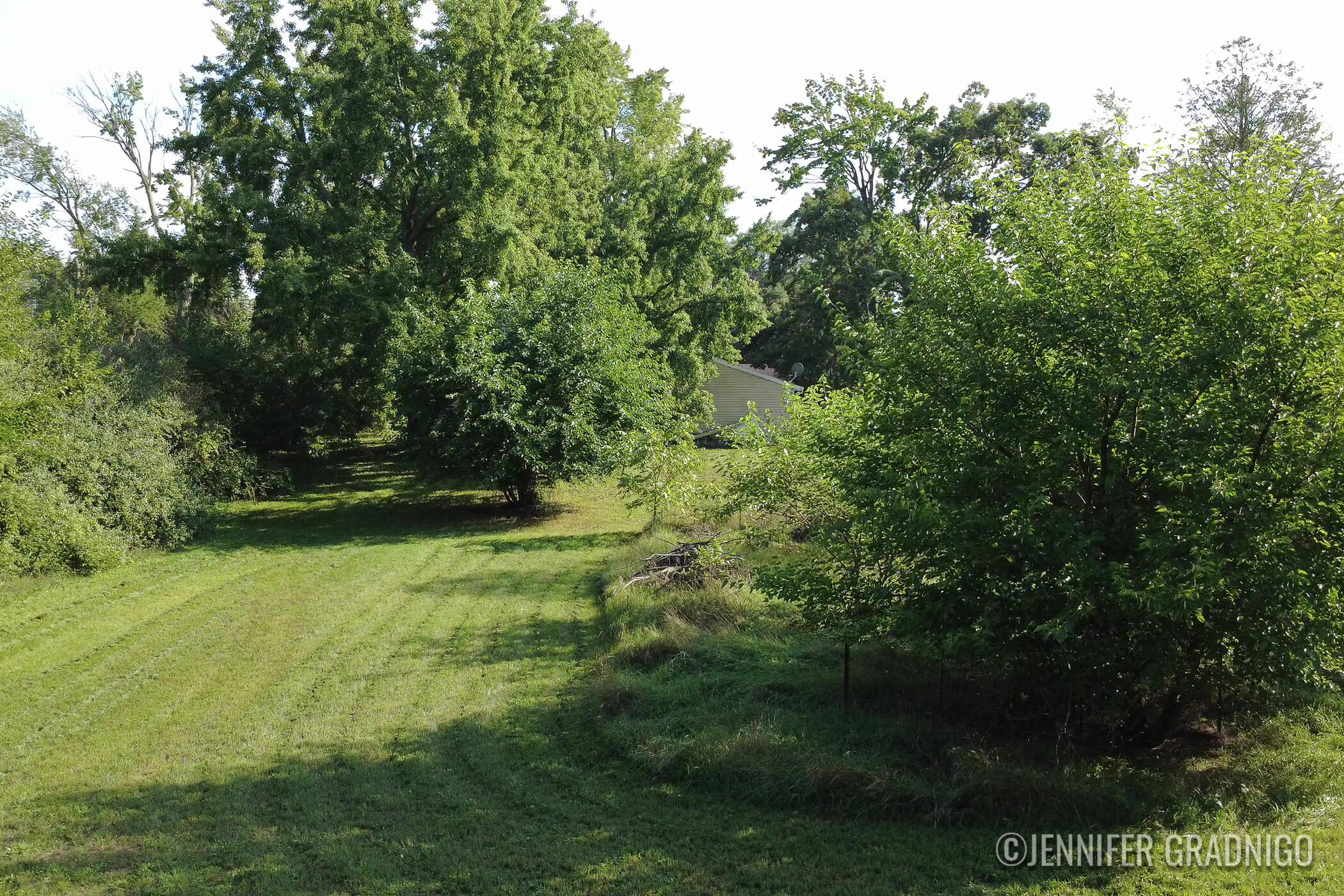 255 Felch Street Holland MI 49424