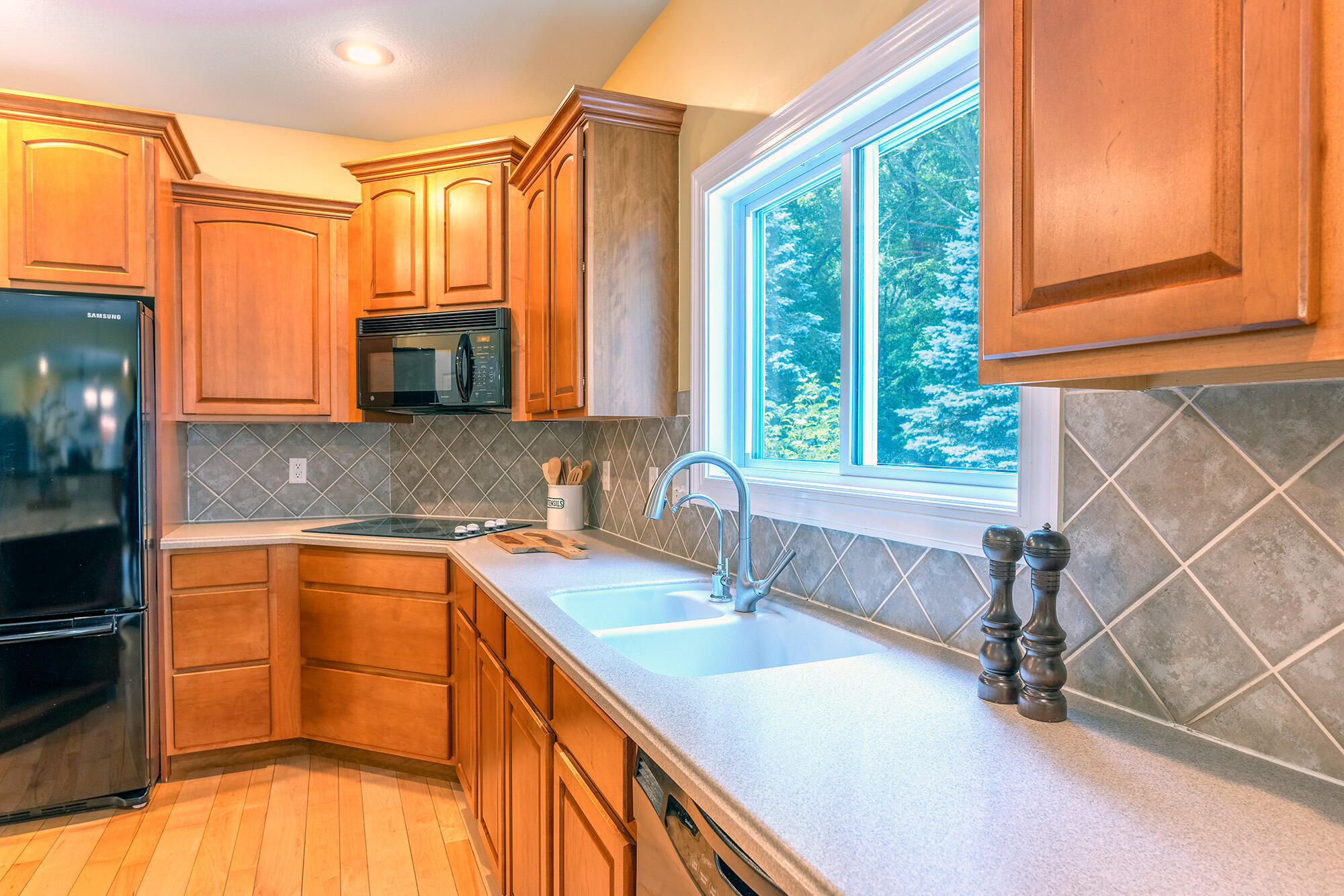 6420 Palomino Park Kalamazoo MI 49009