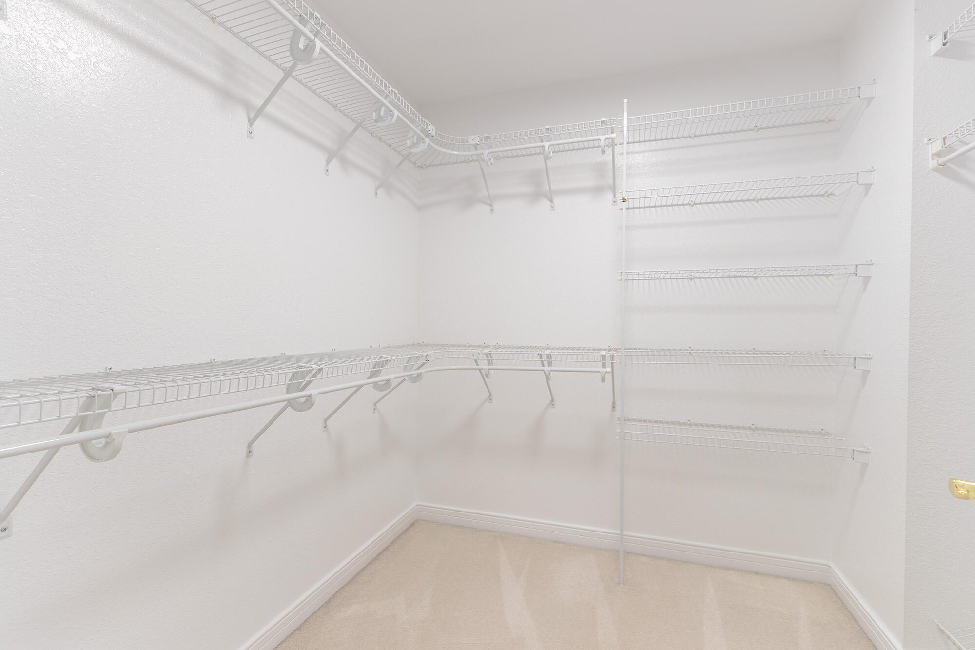 6420 Palomino Park Kalamazoo MI 49009