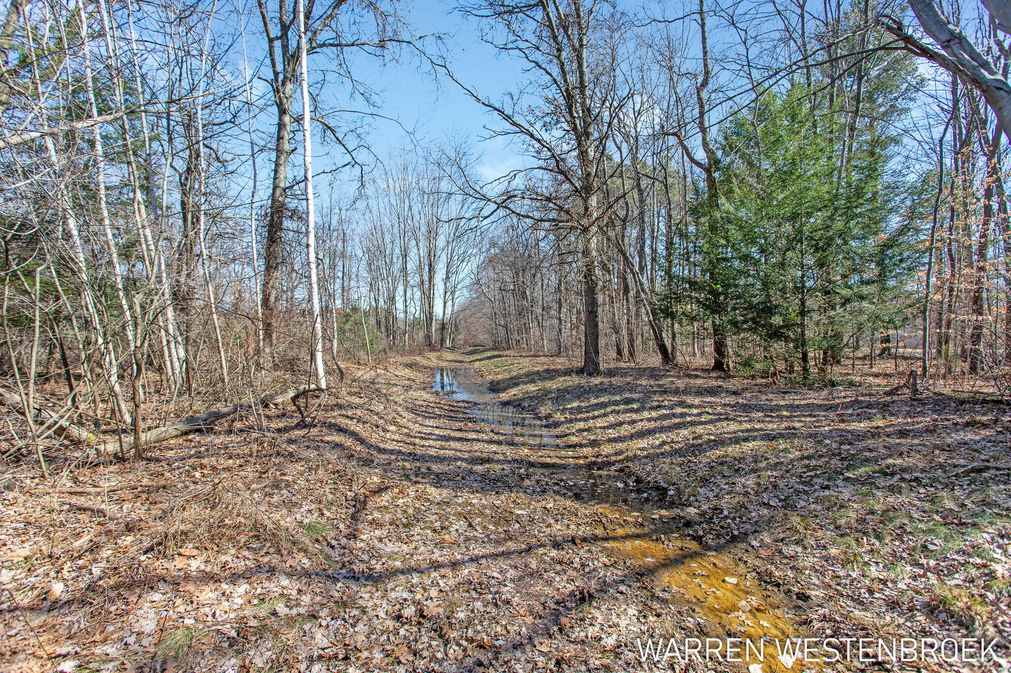 16342 Lincoln Street Grand Haven MI 49417