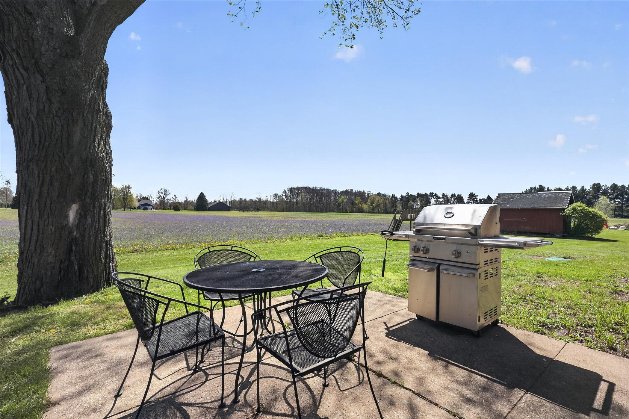 3262 W Wagner Road Buchanan MI 49107