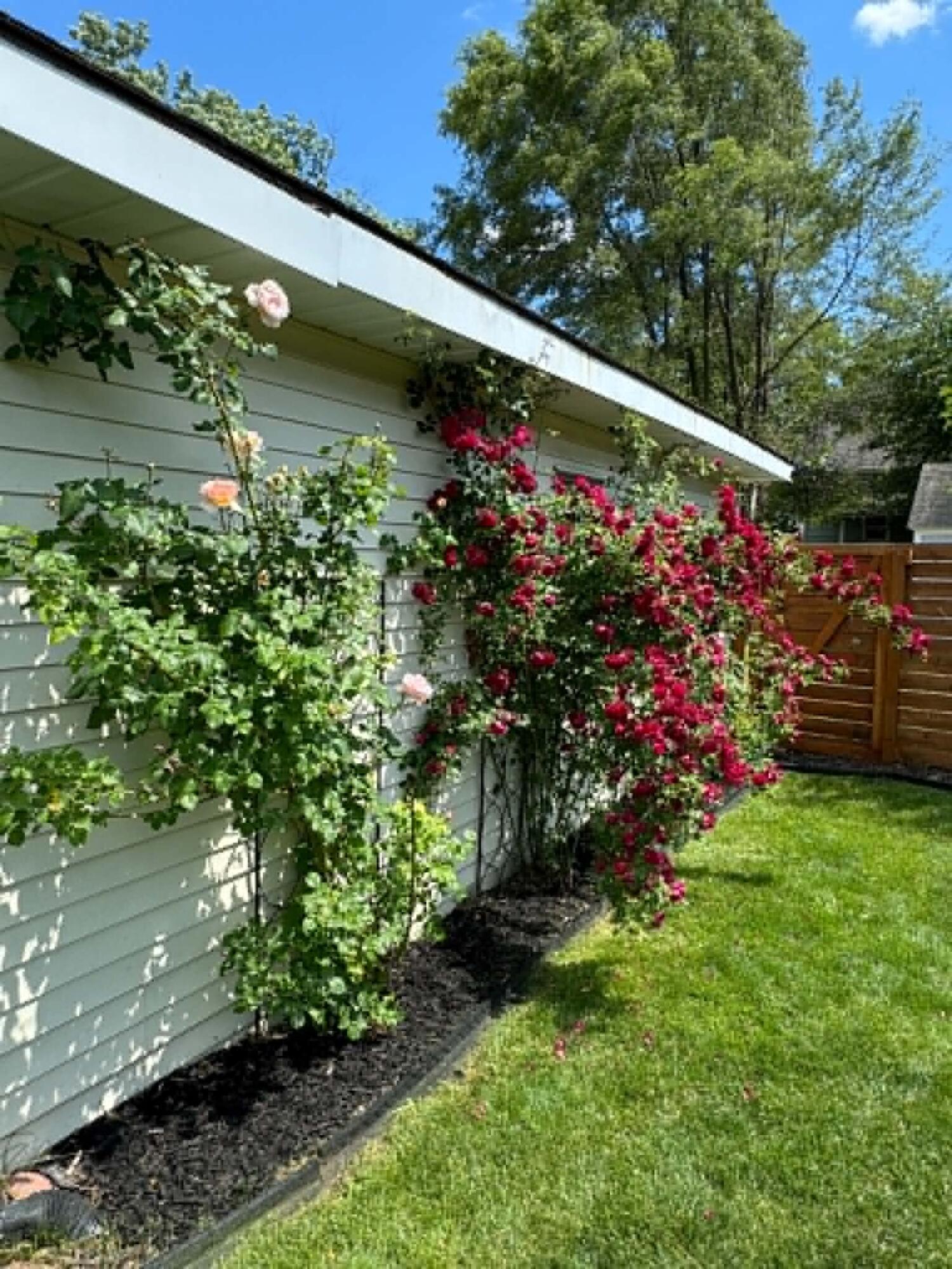 818 Norbert Street NW Grand Rapids MI 49504