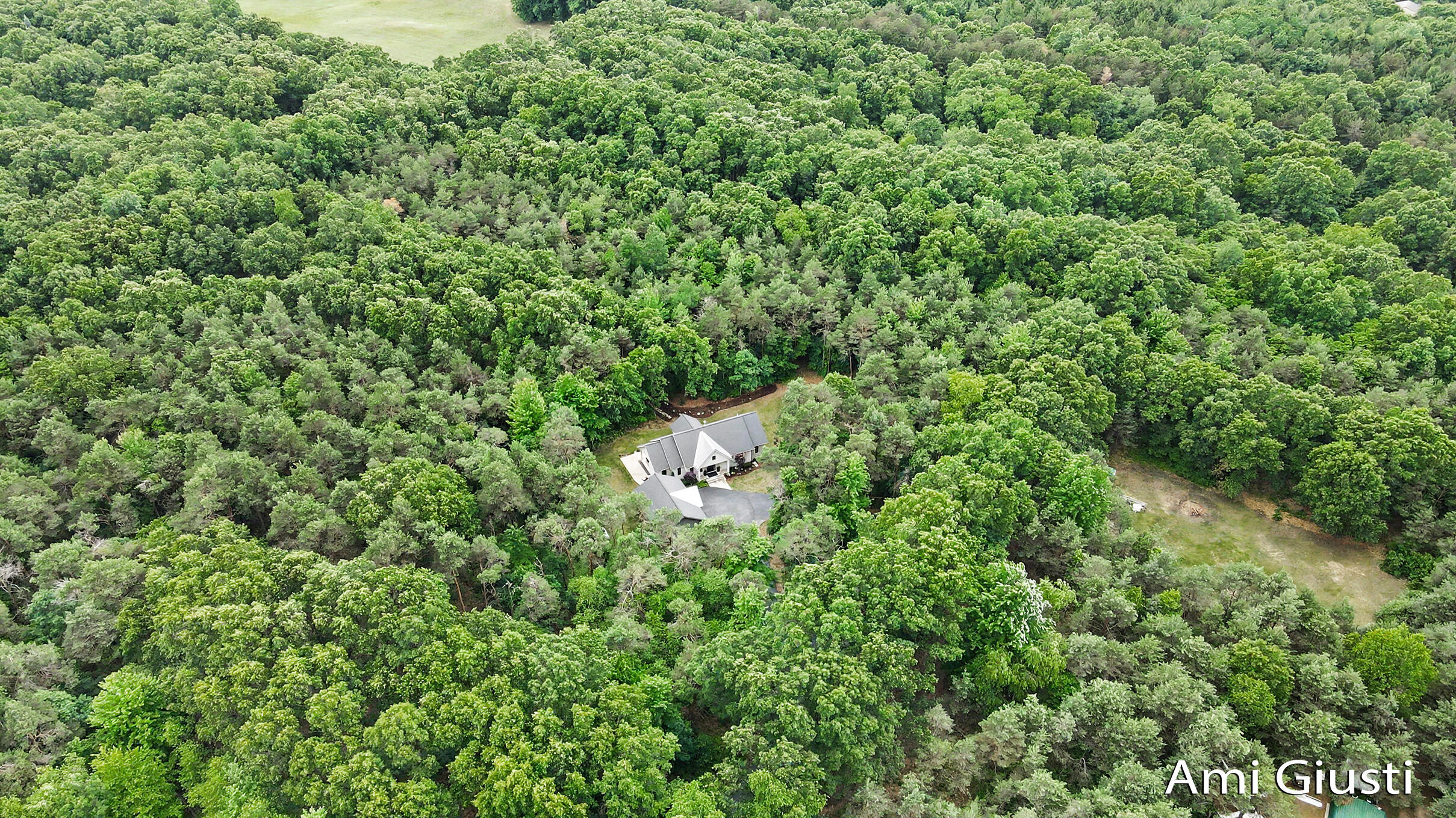7639 Blakely Drive NE Rockford MI 49341