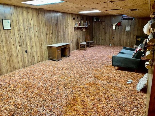 2888 Clarice Street Kalamazoo MI 49048