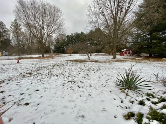 2888 Clarice Street Kalamazoo MI 49048