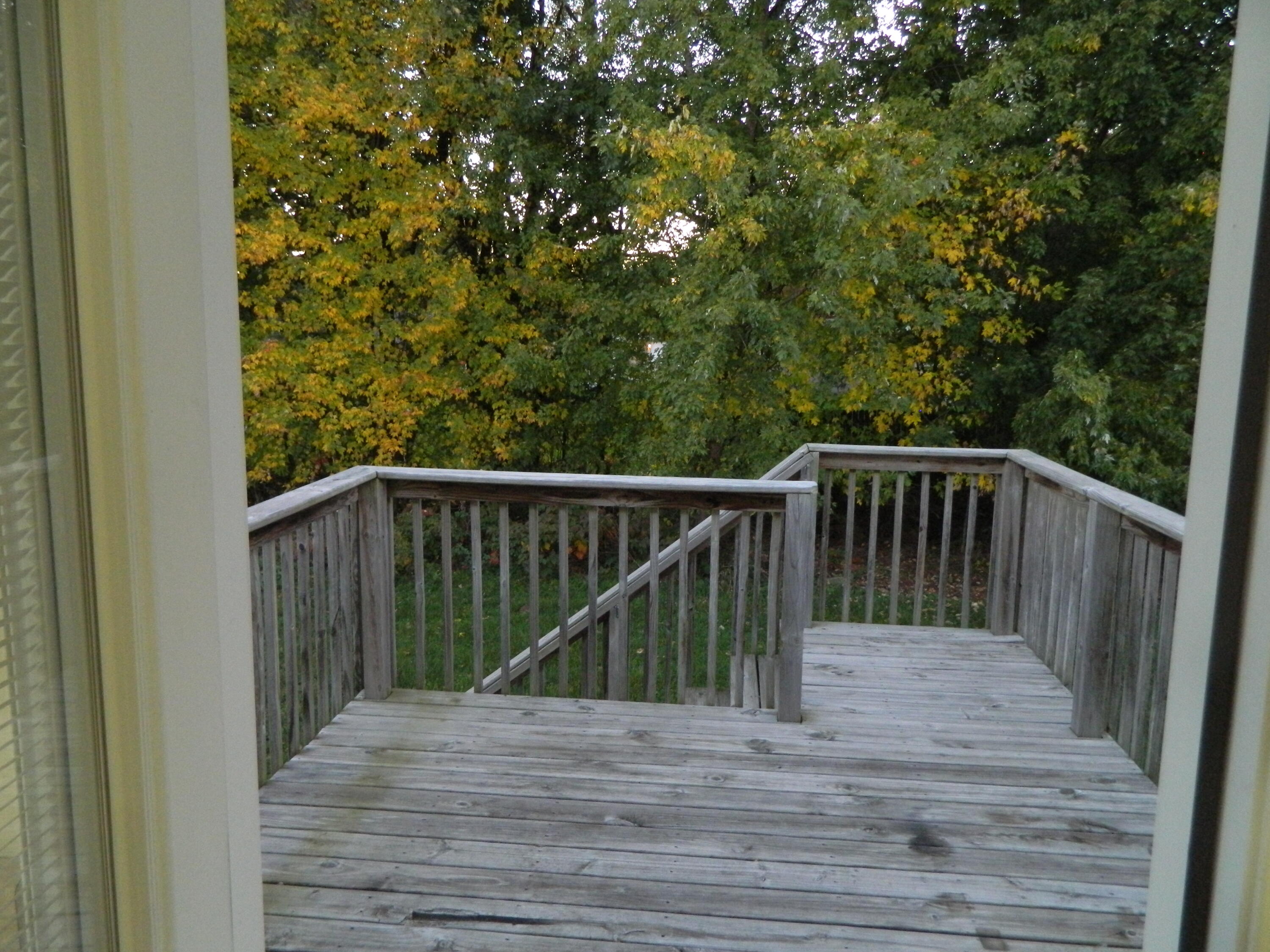2331 Sagebrush Street Kalamazoo MI 49006