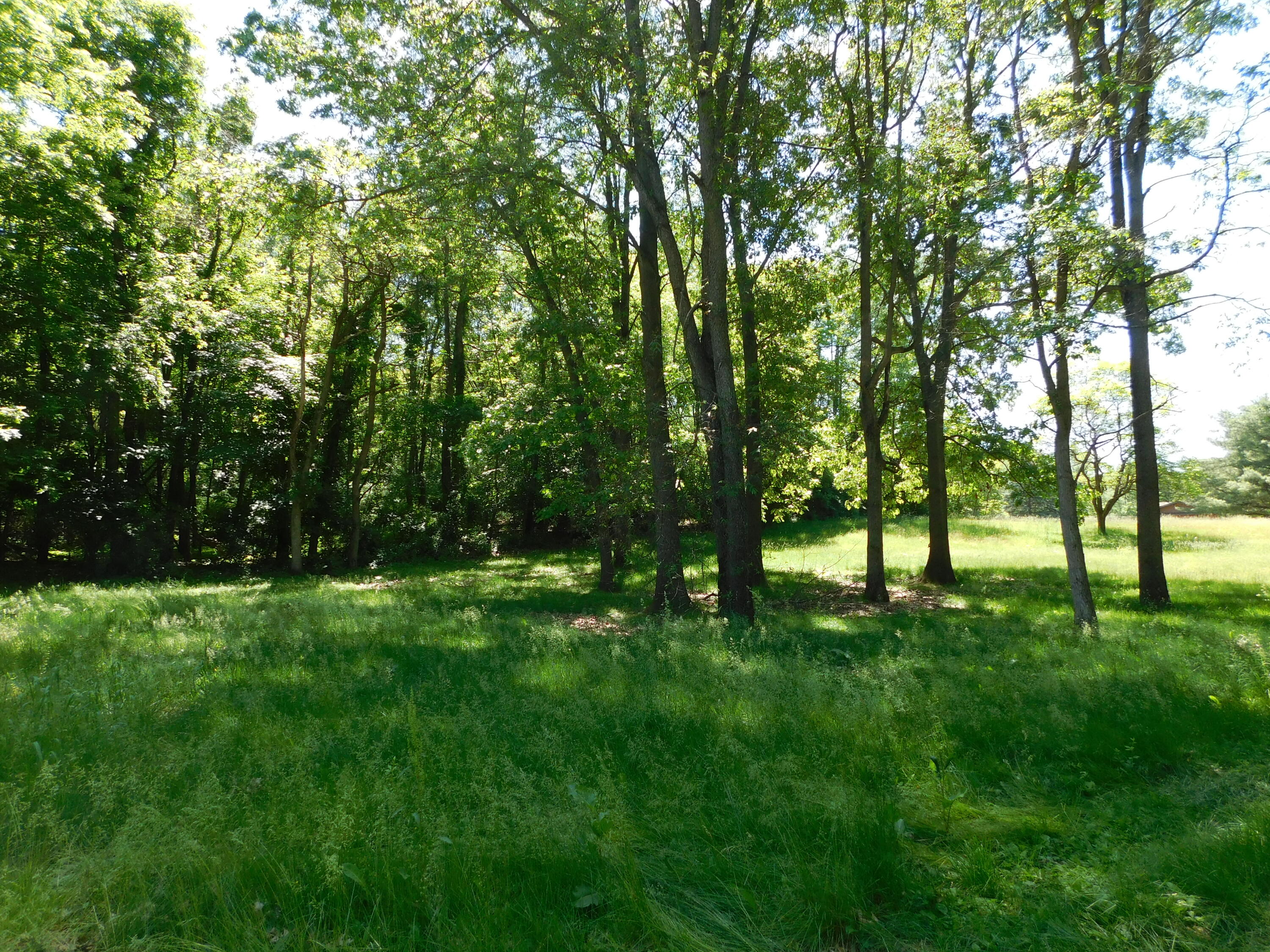 27134 Deerfield Lane Edwardsburg MI 49112