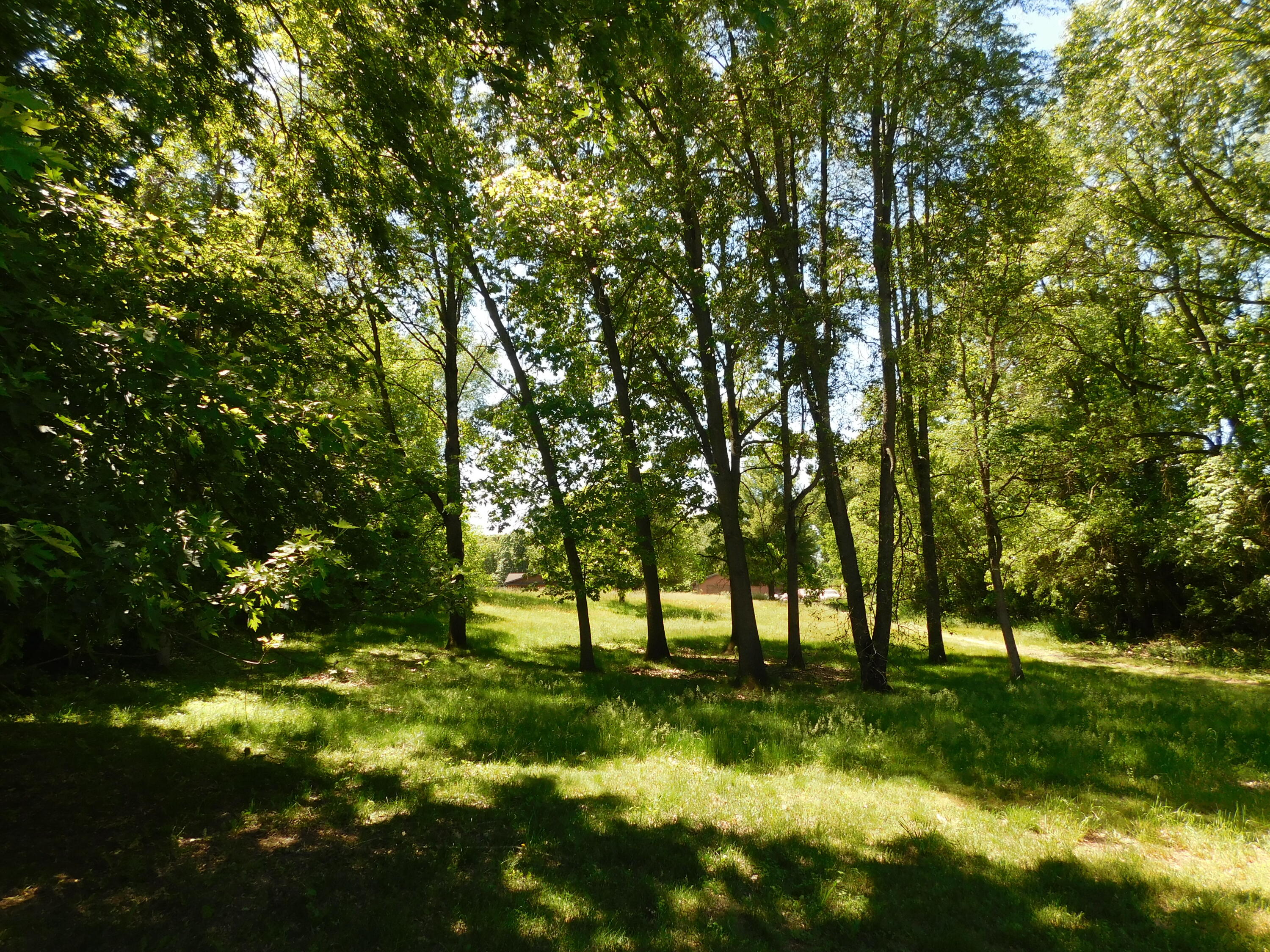 27134 Deerfield Lane Edwardsburg MI 49112