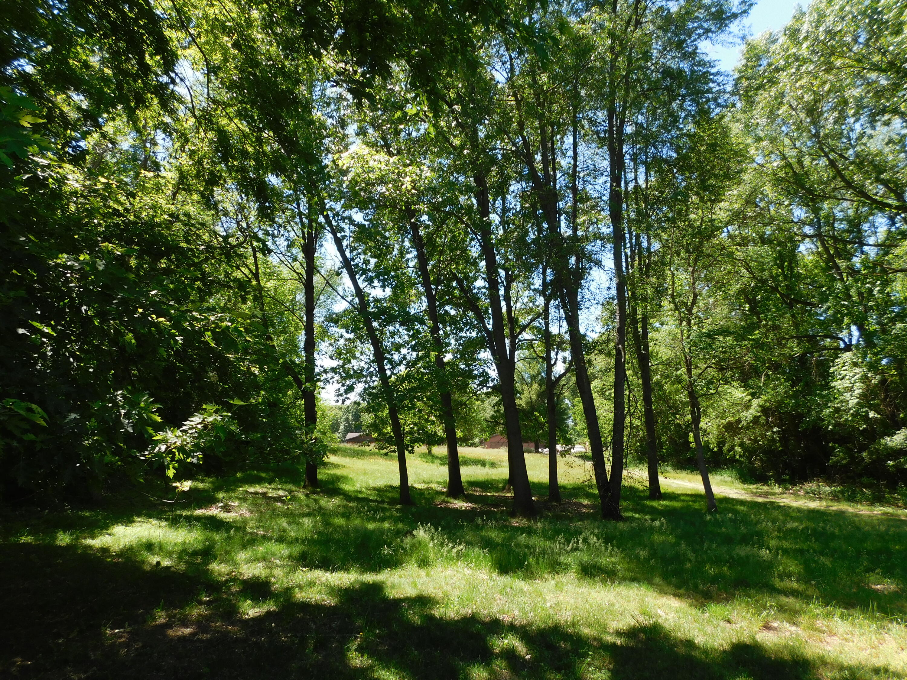27134 Deerfield Lane Edwardsburg MI 49112