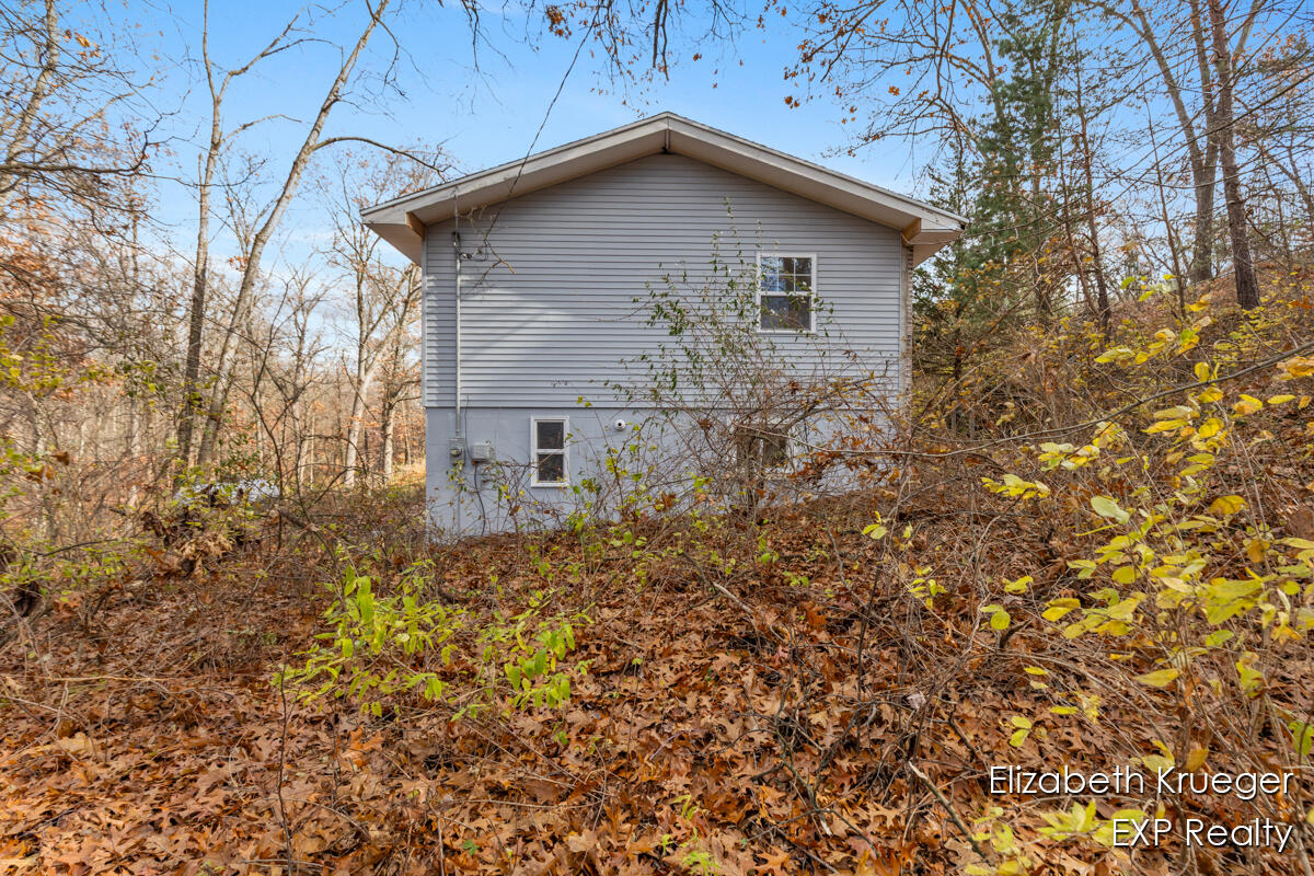 8945 Vergennes Street SE Ada MI 49301