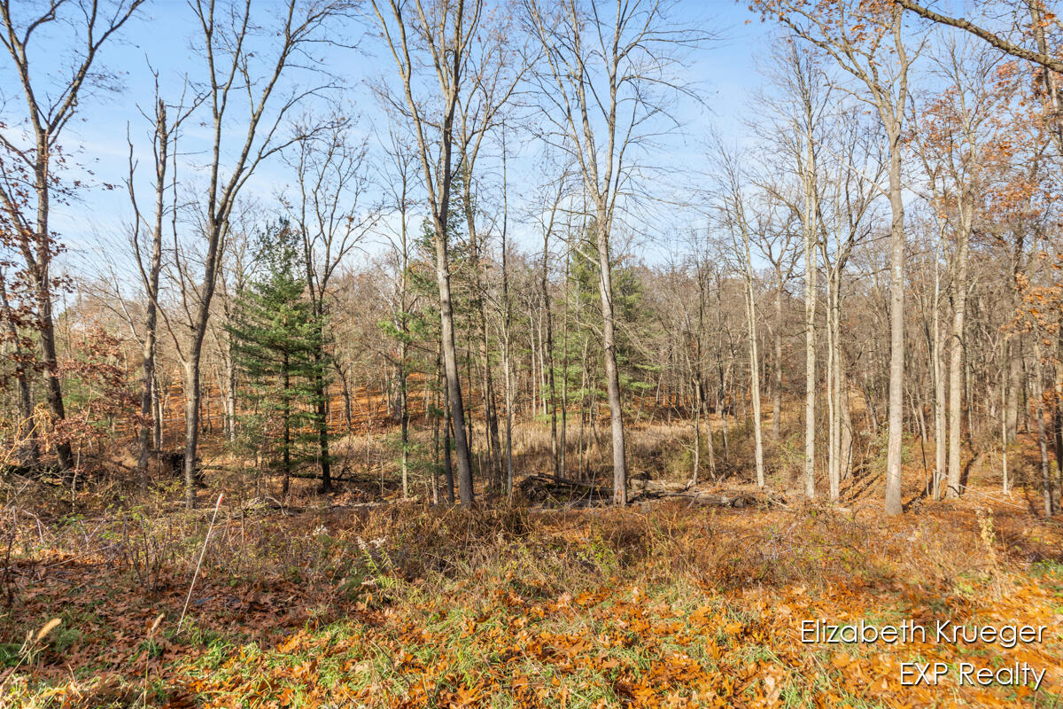 8945 Vergennes Street SE Ada MI 49301