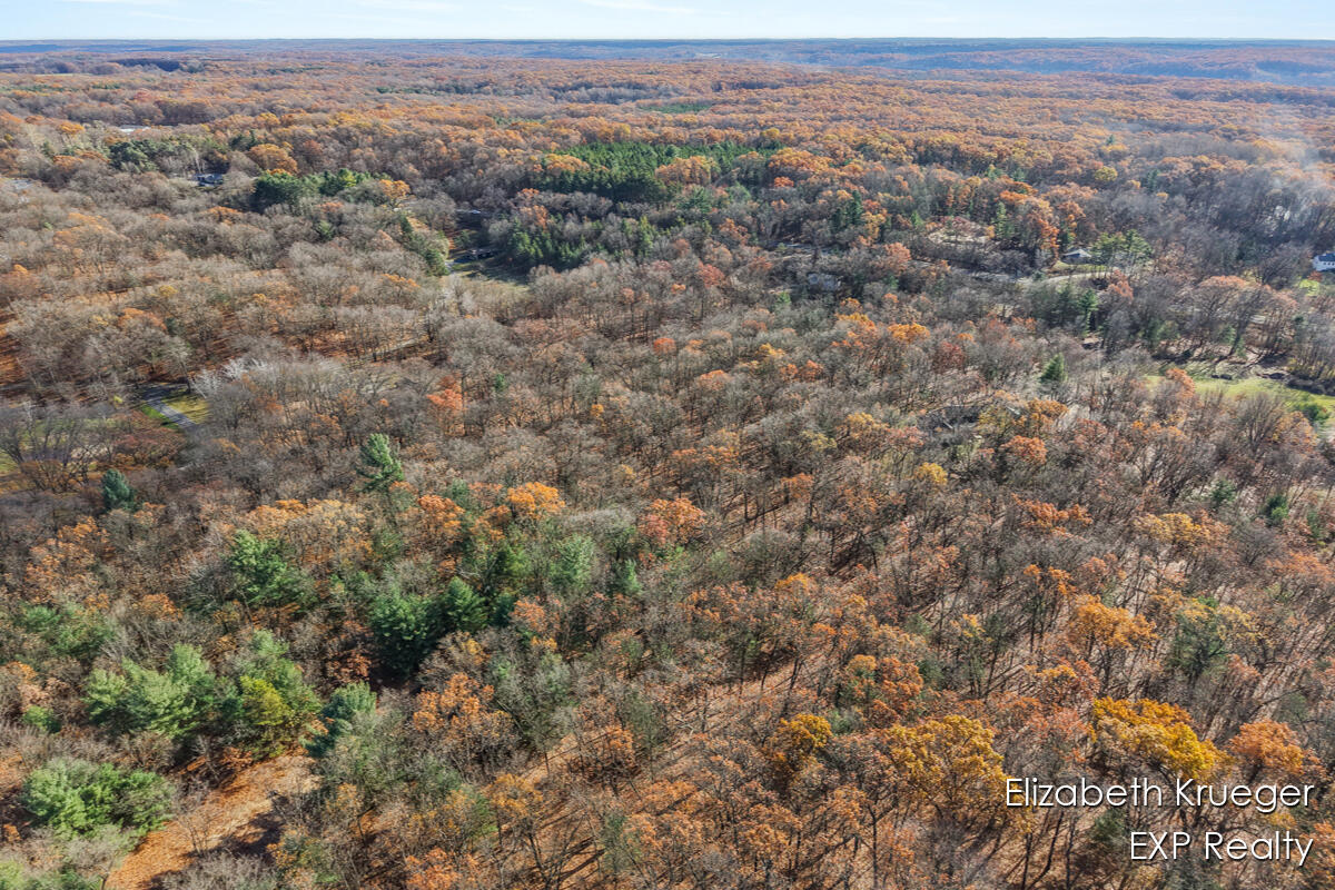 8945 Vergennes Street SE Ada MI 49301