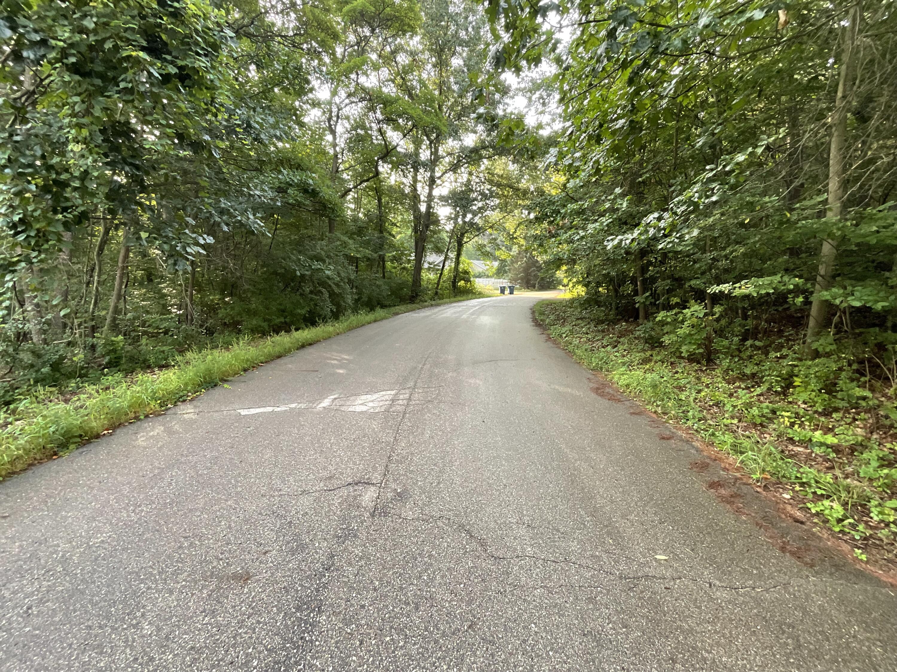 0 Crescent Drive Fennville MI 49408