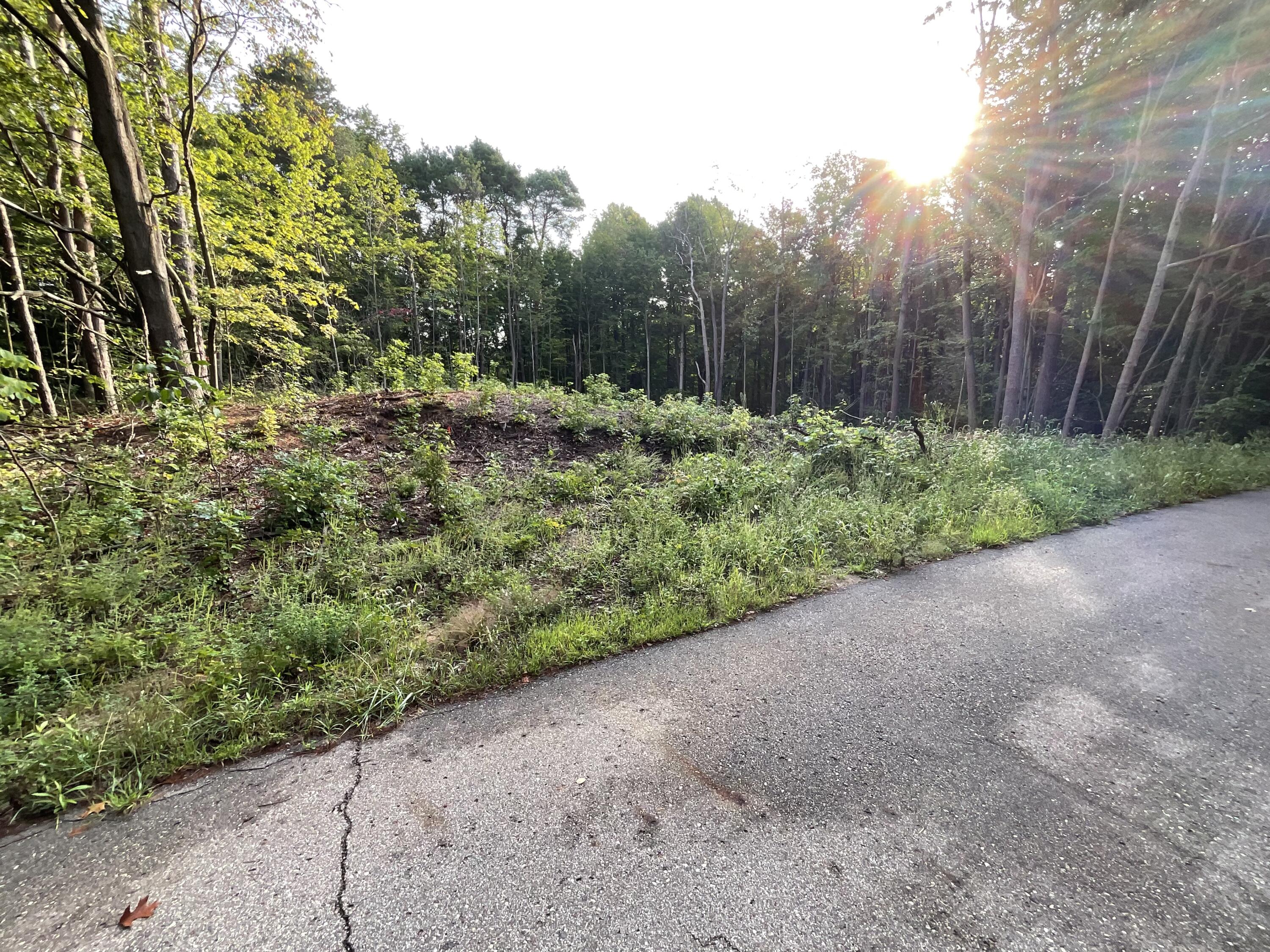 0 Crescent Drive Fennville MI 49408