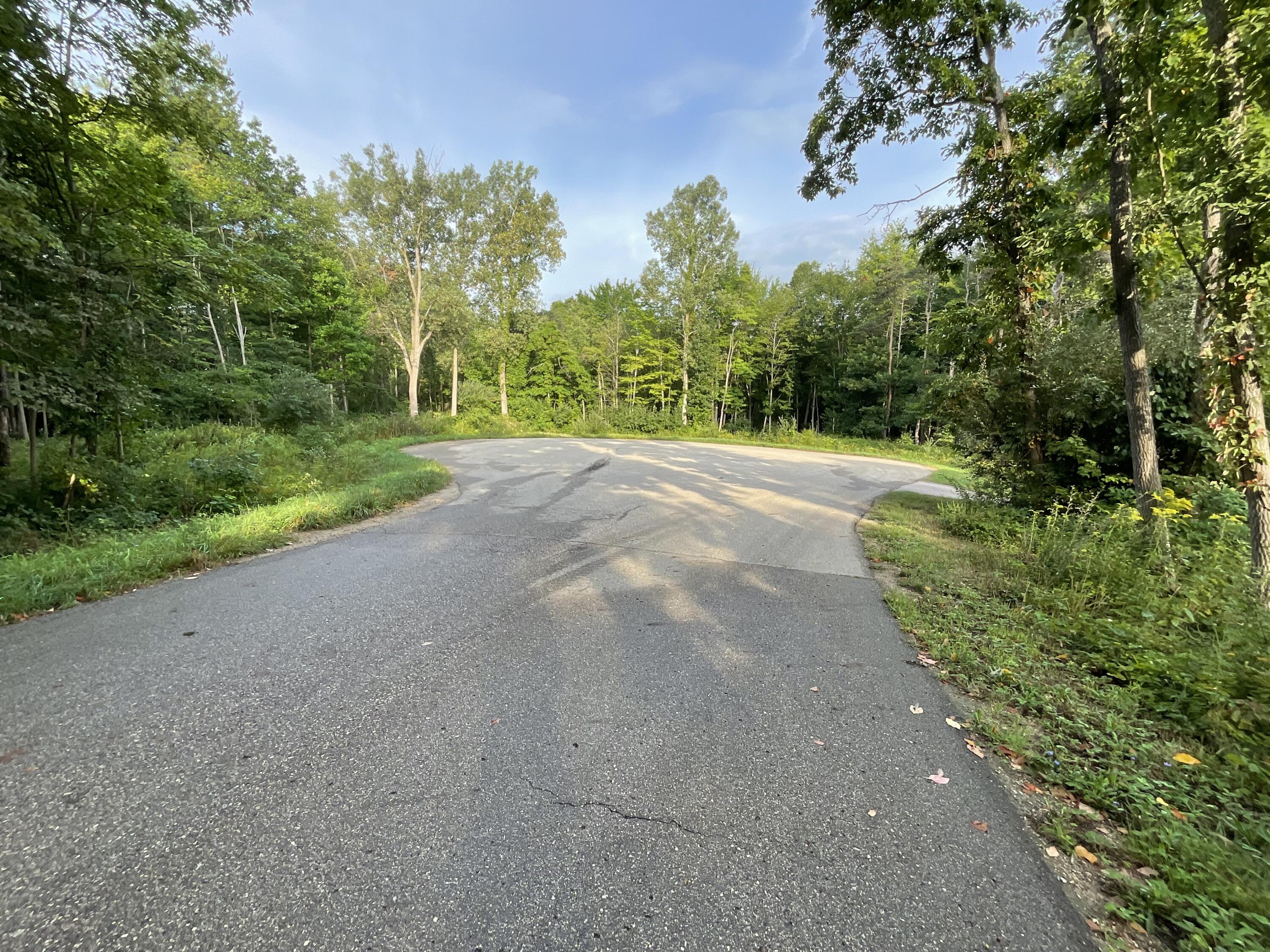 0 Crescent Drive Fennville MI 49408