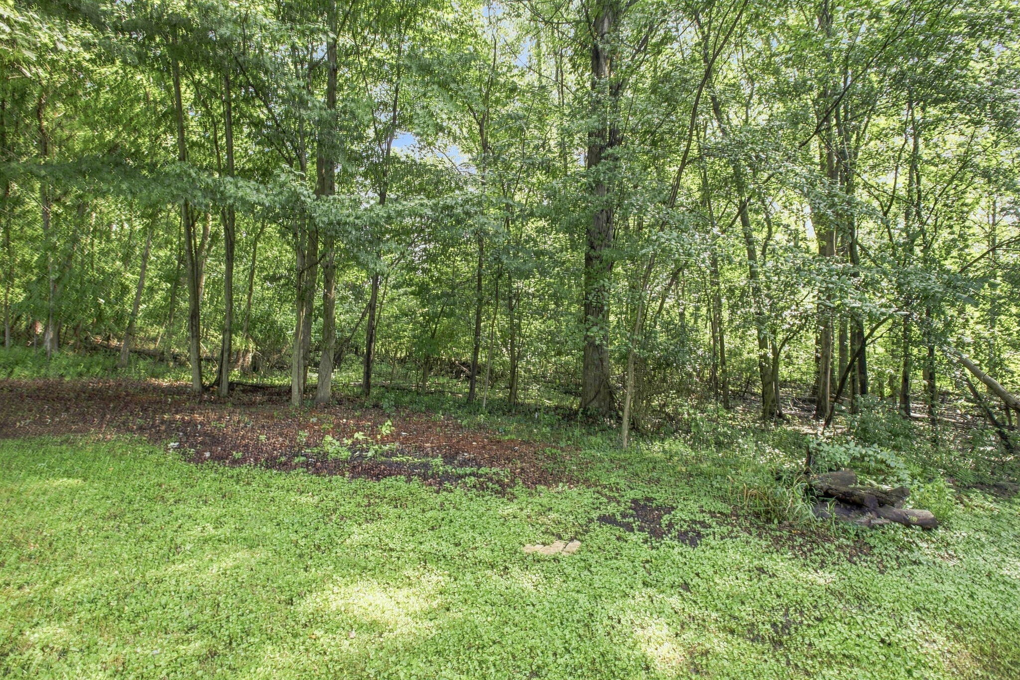 5609 Johnson Road Coloma MI 49038