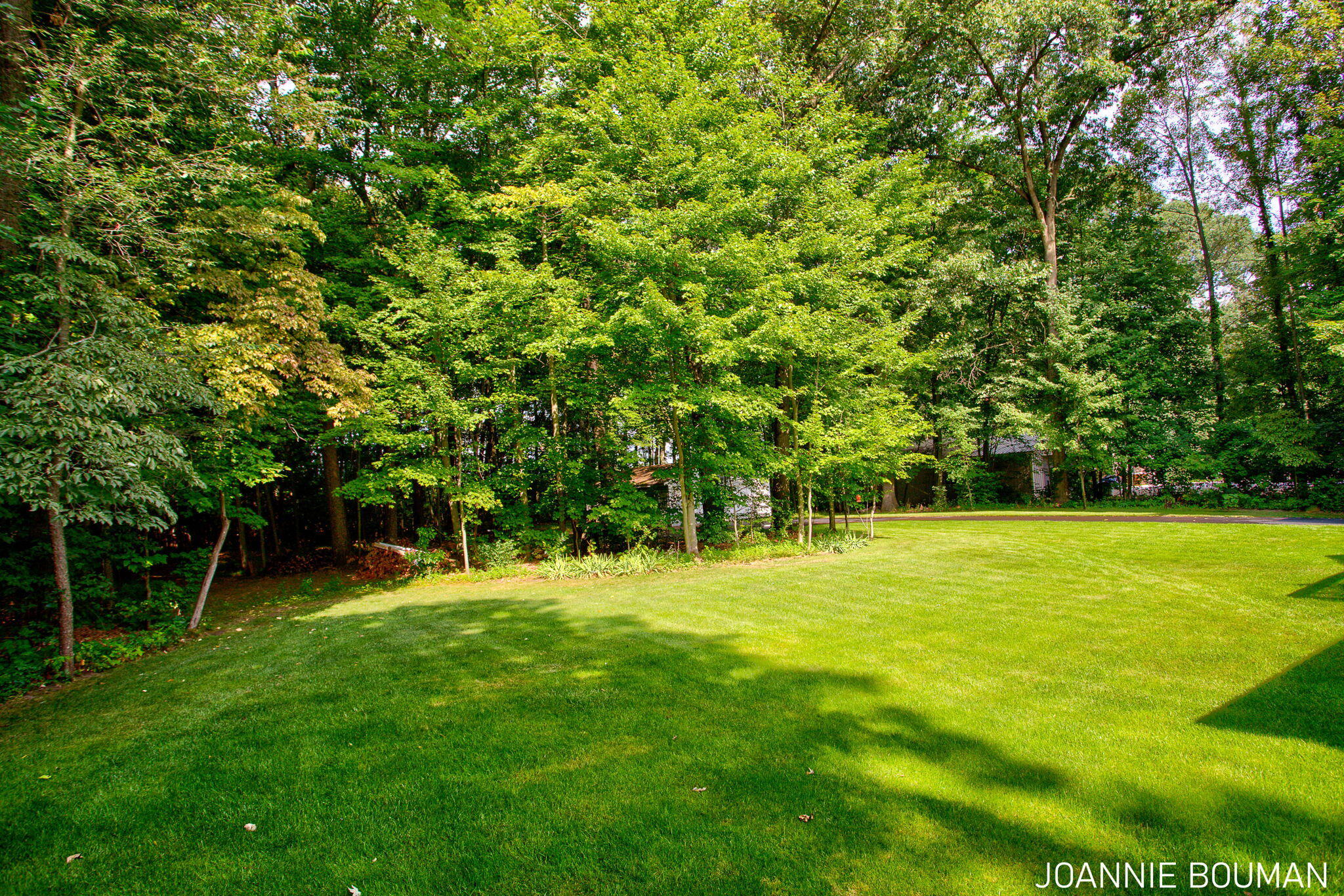 3170 Marcia Lane Hamilton MI 49419