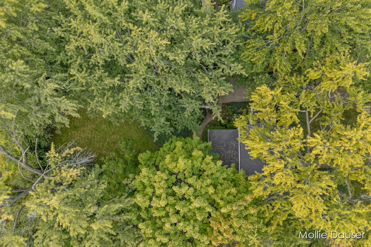 2122 Tenway Drive SE Grand Rapids MI 49506