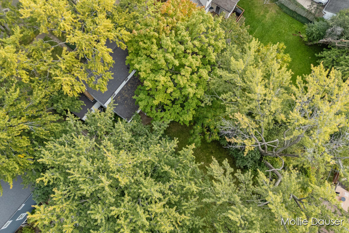 2122 Tenway Drive SE Grand Rapids MI 49506