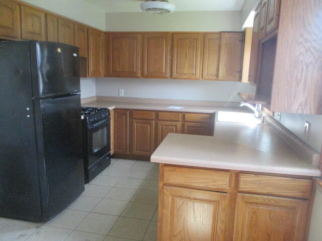 3926 Papalardo Street Bridgman MI 49106
