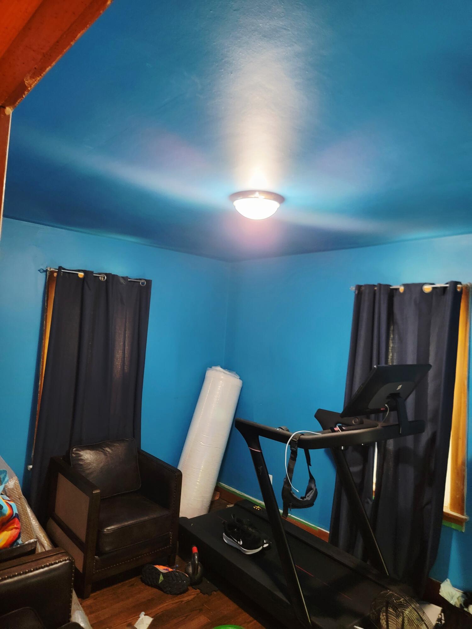267 Rose Street Holland MI 49424