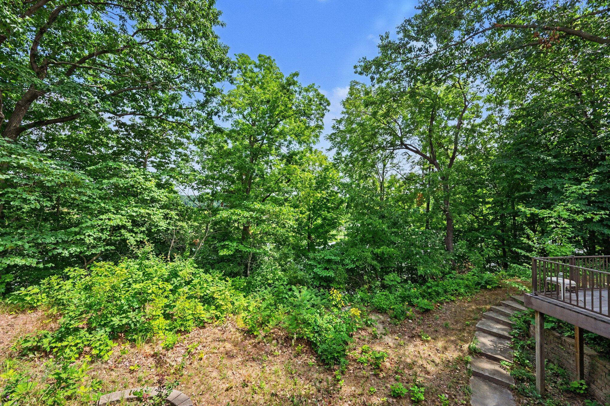 1653 Fairview Drive Allegan MI 49010