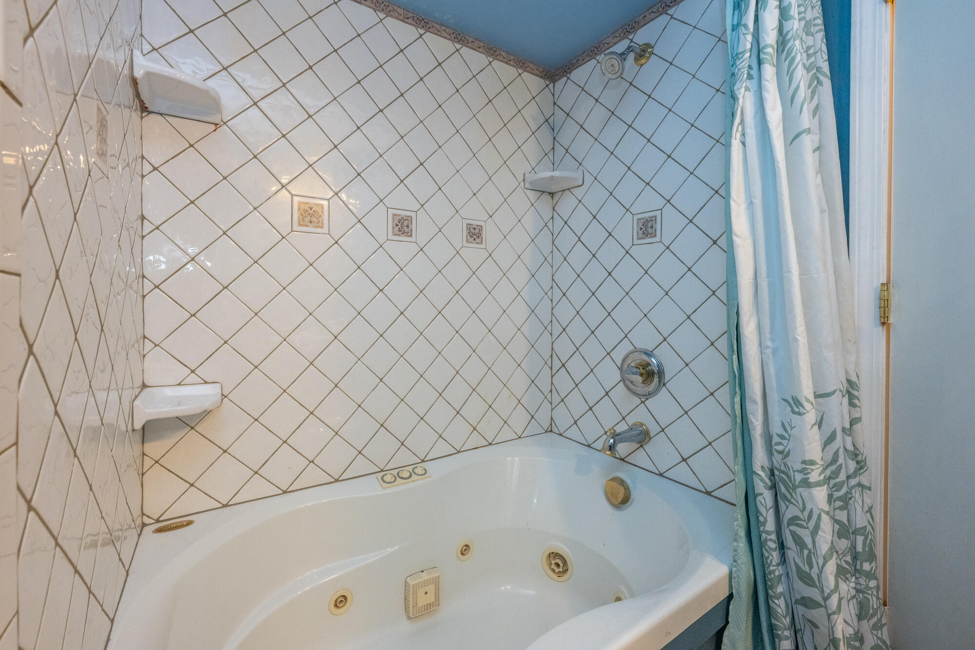 1765 Hacienda Drive Stevensville MI 49127