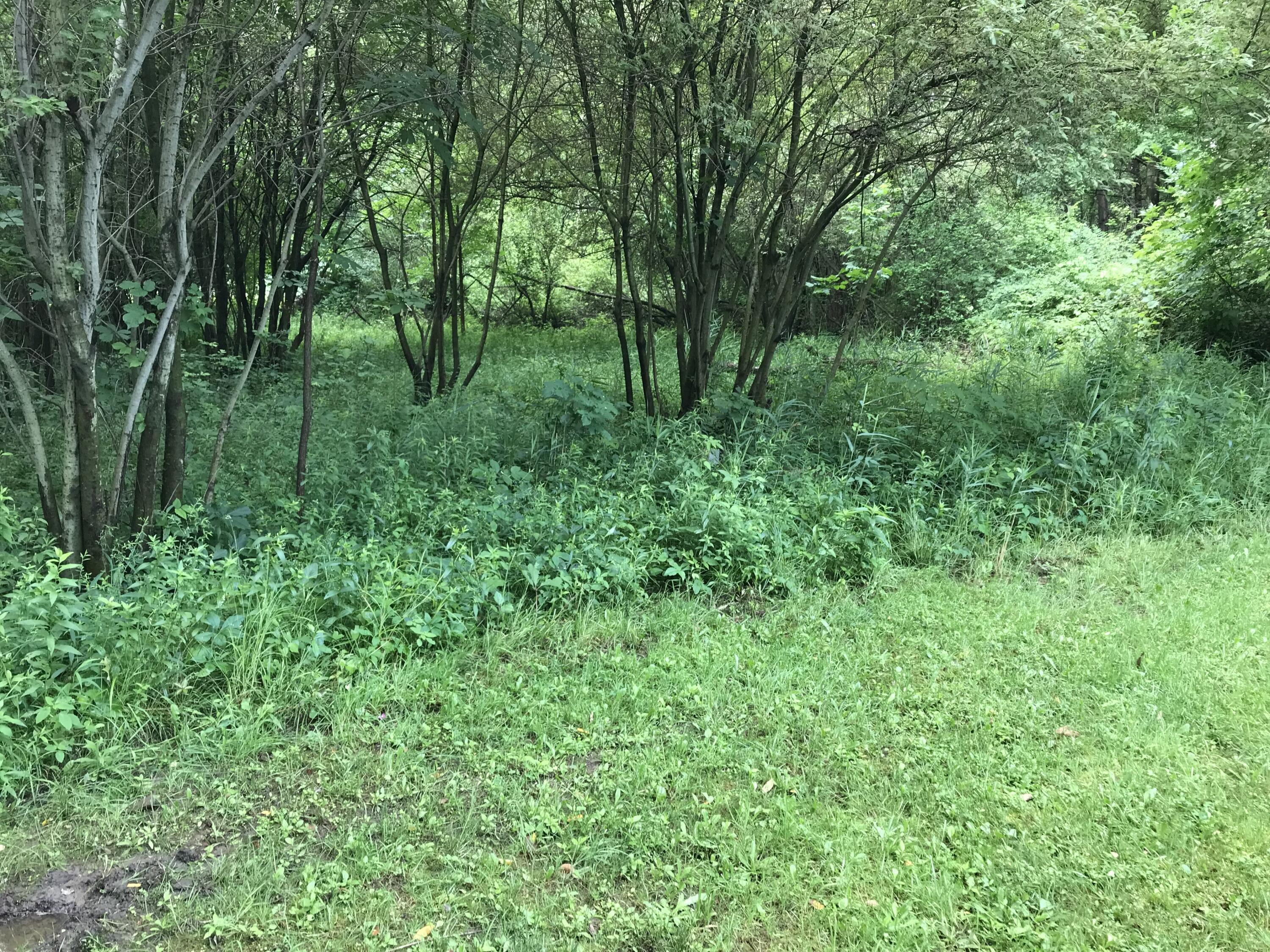 6550 Old Allegan Road Saugatuck MI 49453