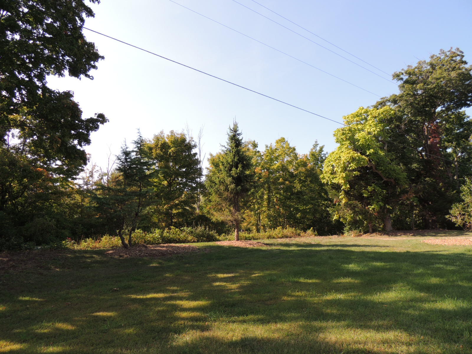 1317 68th Street South Haven MI 49090
